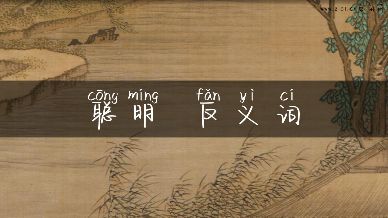 聪明  反义词