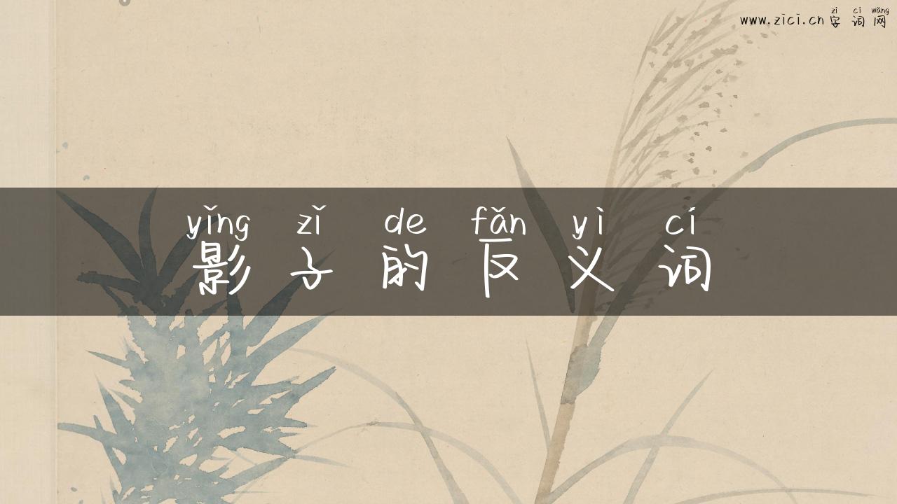 影子的反义词