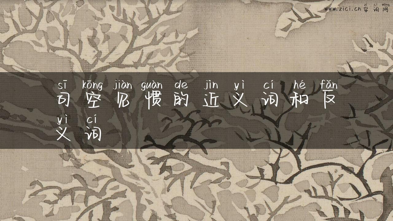司空见惯的近义词和反义词