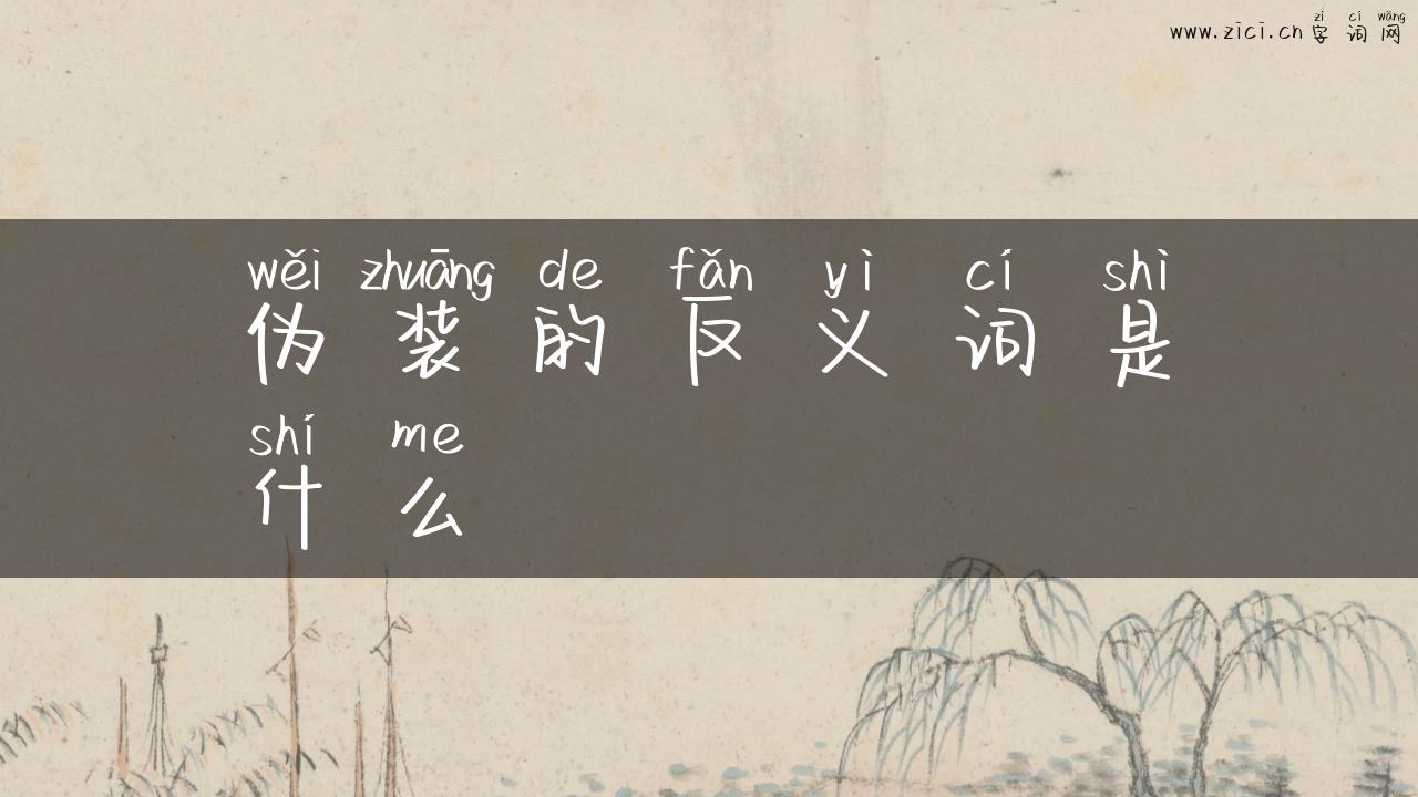 伪装的反义词是什么