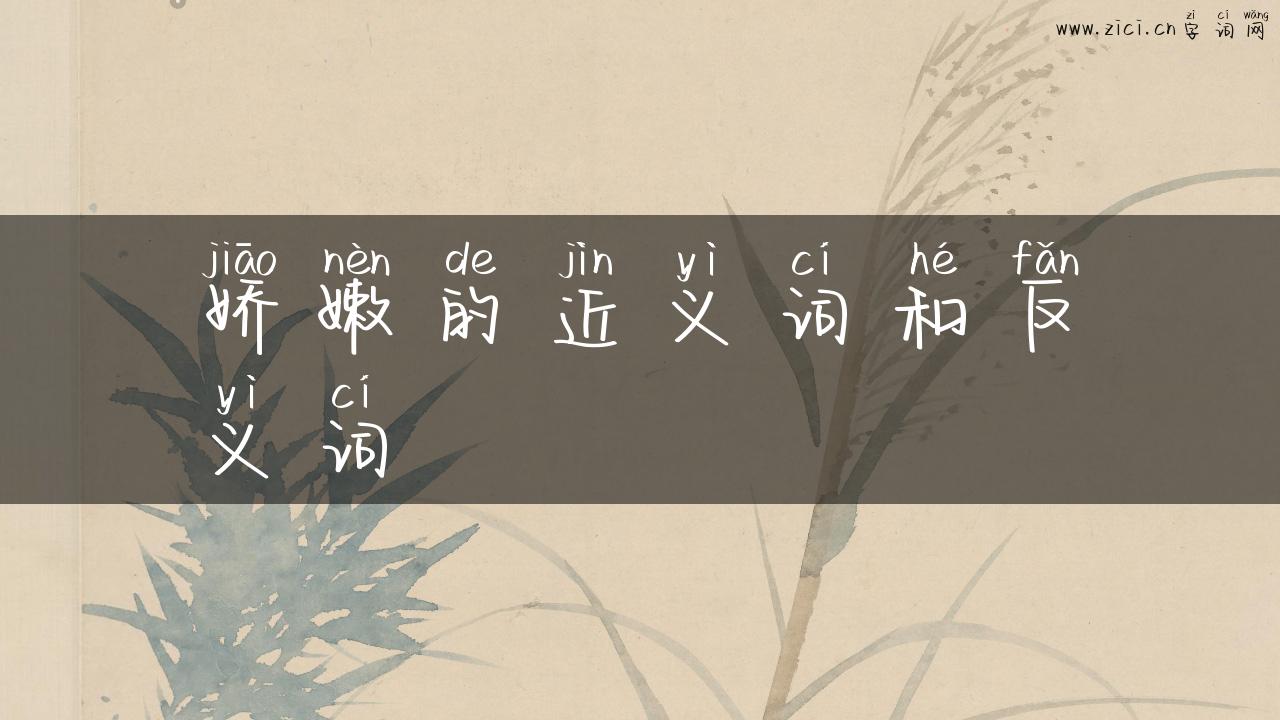 娇嫩的近义词和反义词