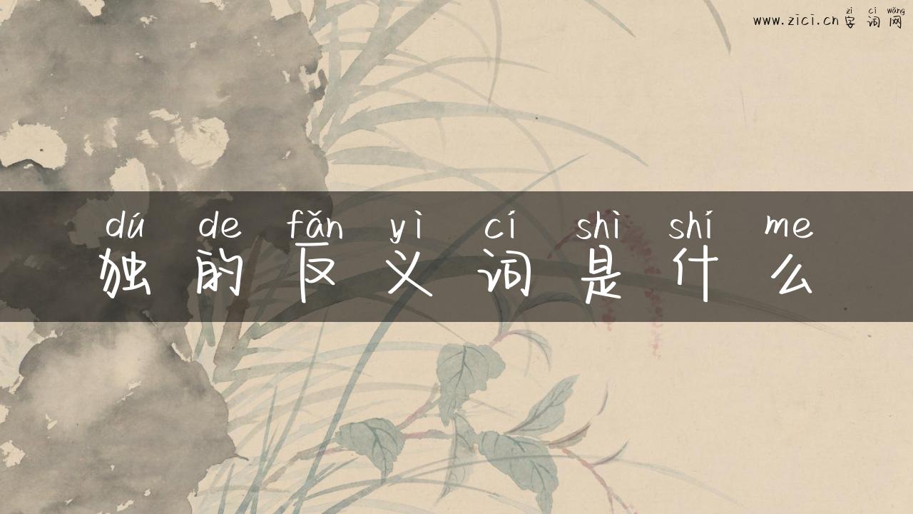 独的反义词是什么