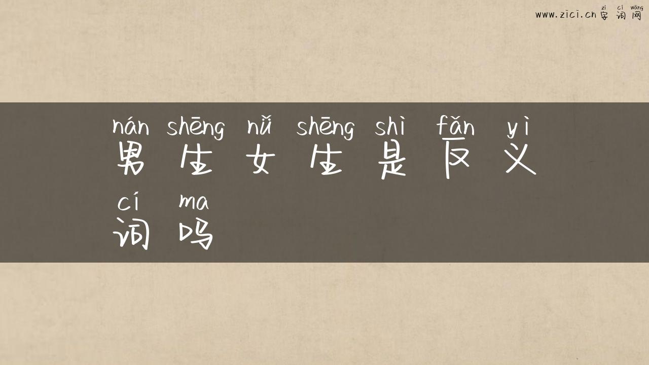 男生女生是反义词吗
