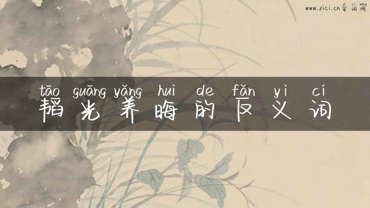 韬光养晦的反义词