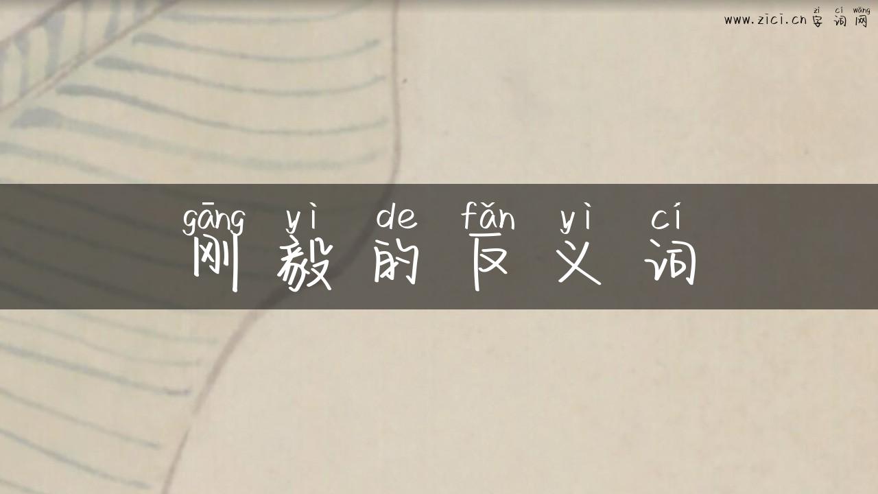 刚毅的反义词