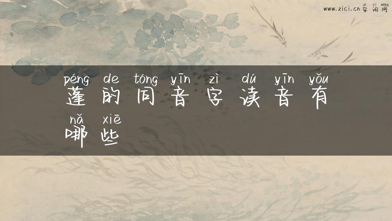 蓬的同音字读音有哪些