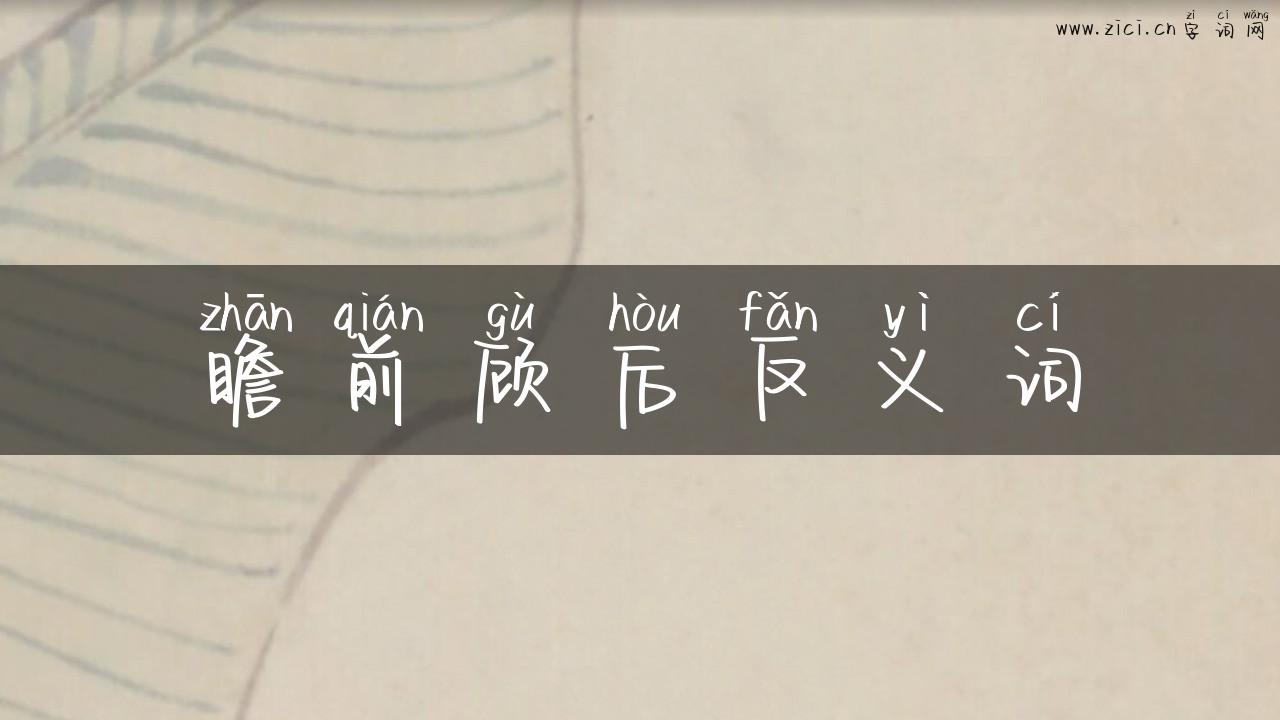 瞻前顾后反义词
