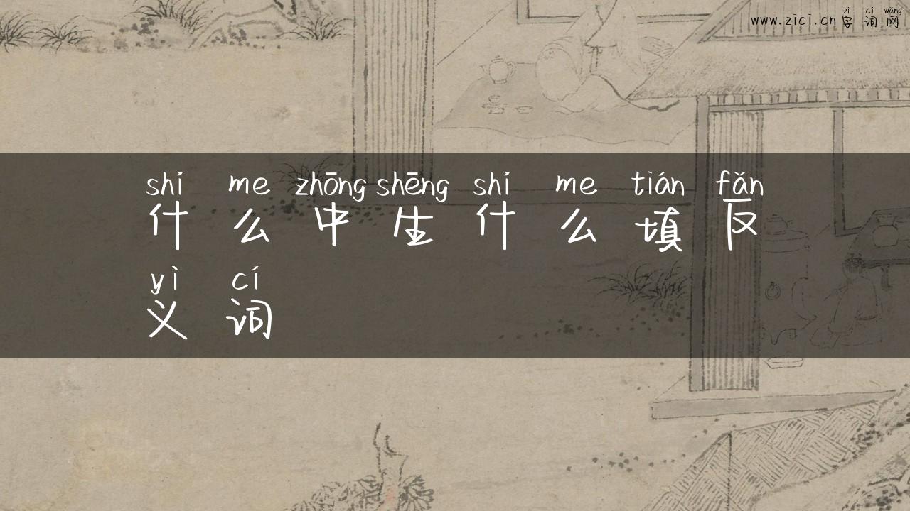 什么中生什么填反义词