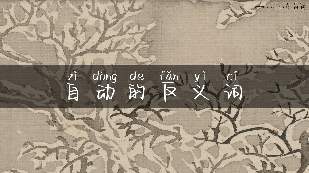 自动的反义词