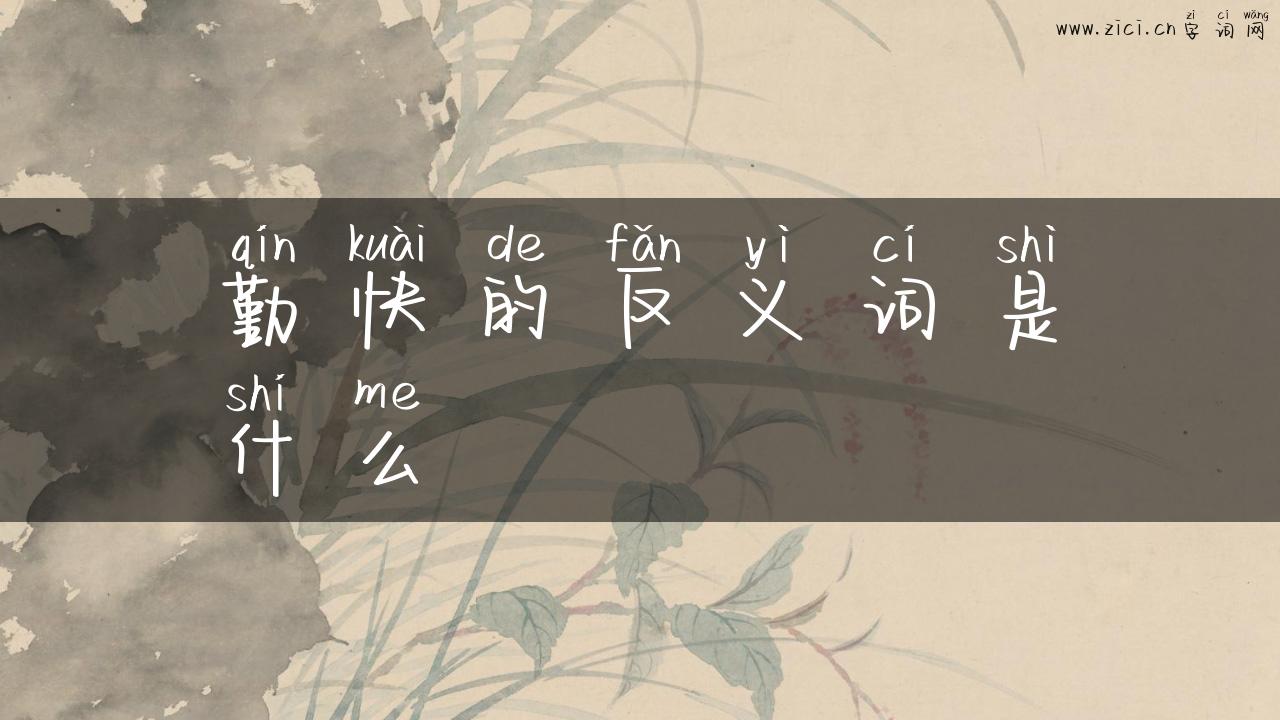 勤快的反义词是什么