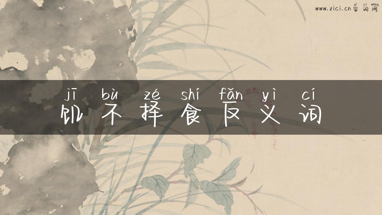 饥不择食反义词