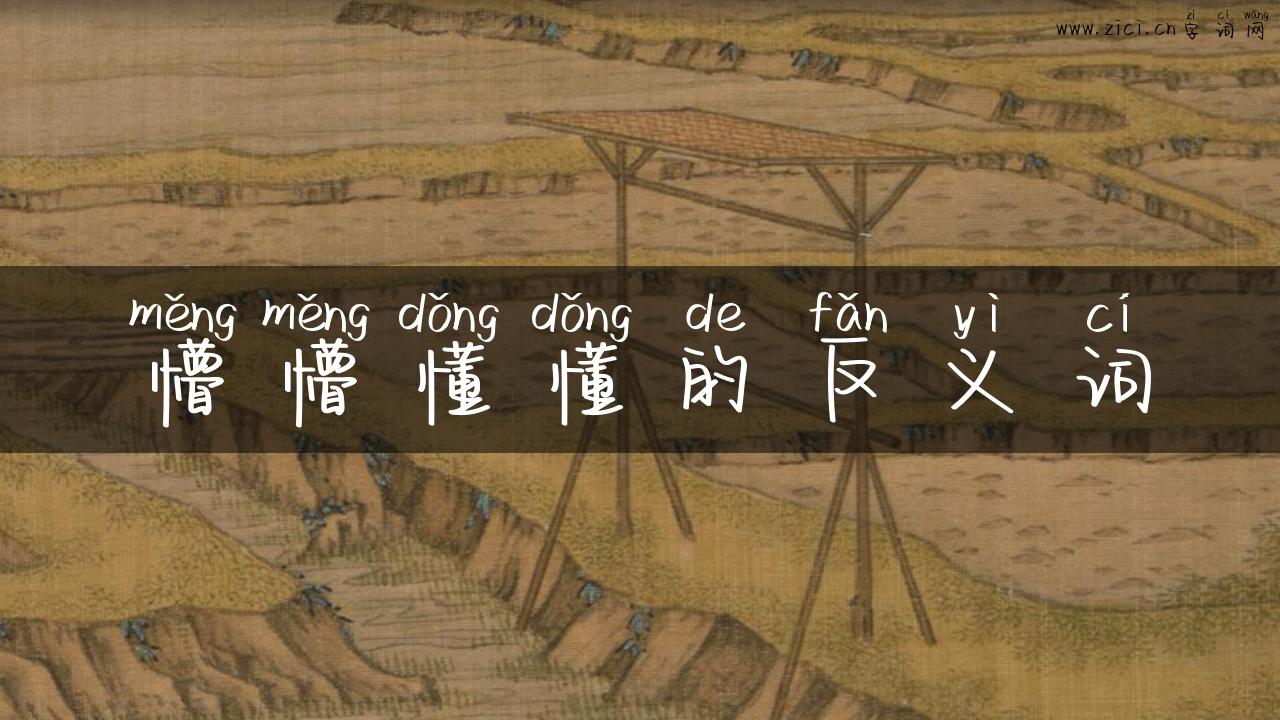 懵懵懂懂的反义词