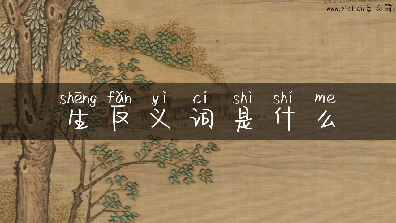 生反义词是什么