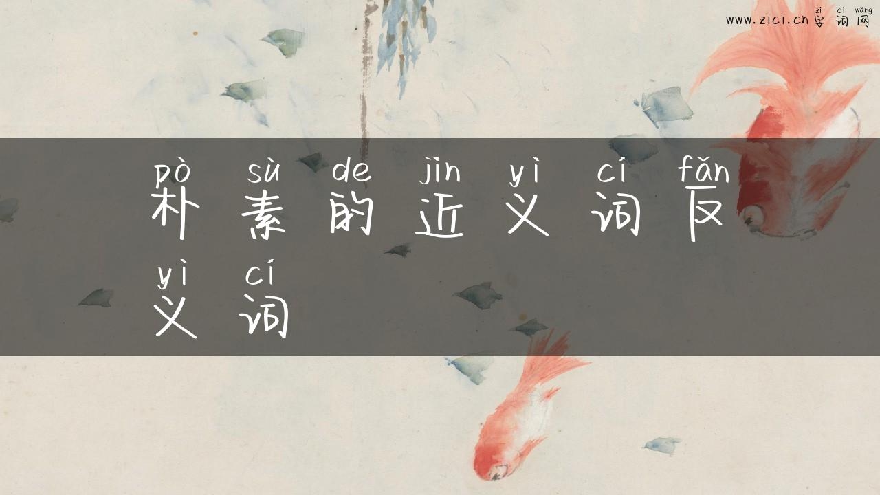 朴素的近义词反义词