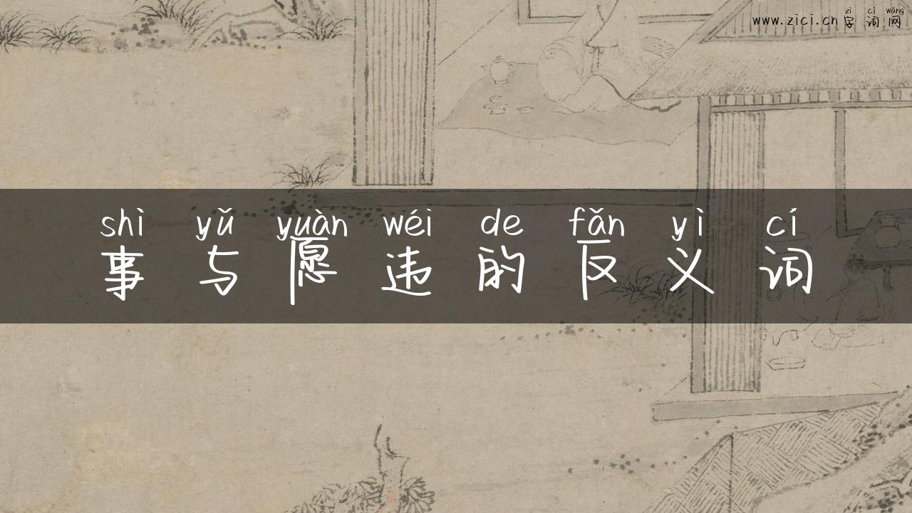 事与愿违的反义词