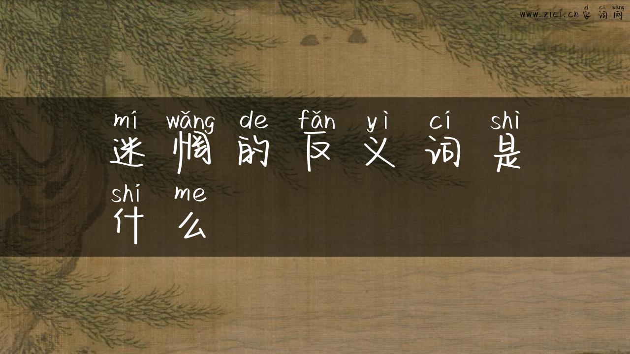迷惘的反义词是什么