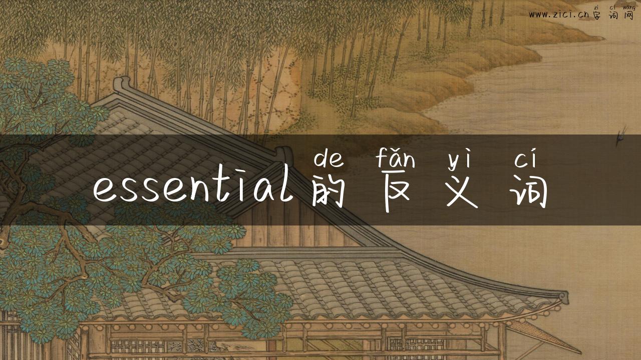 essential的反义词