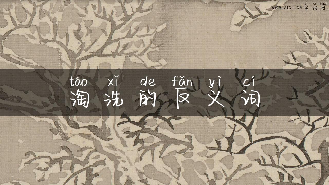 淘洗的反义词