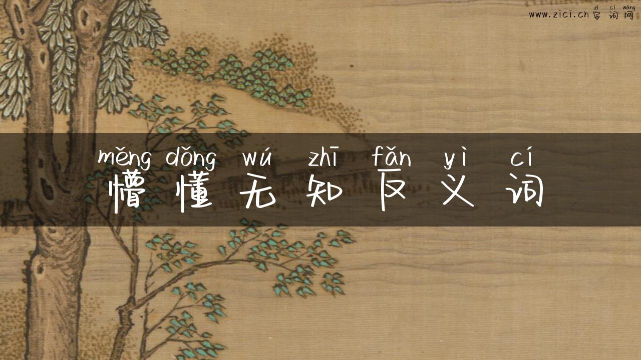 懵懂无知反义词