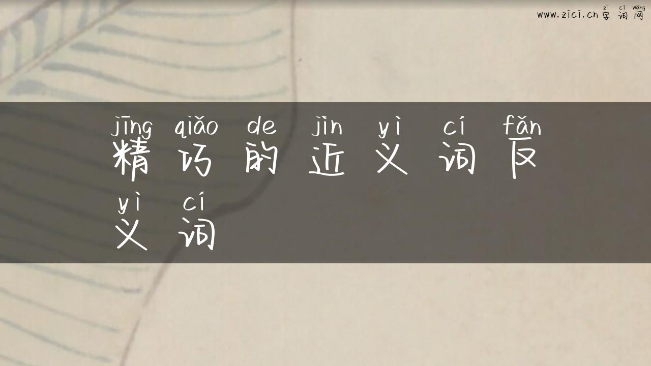 精巧的近义词反义词