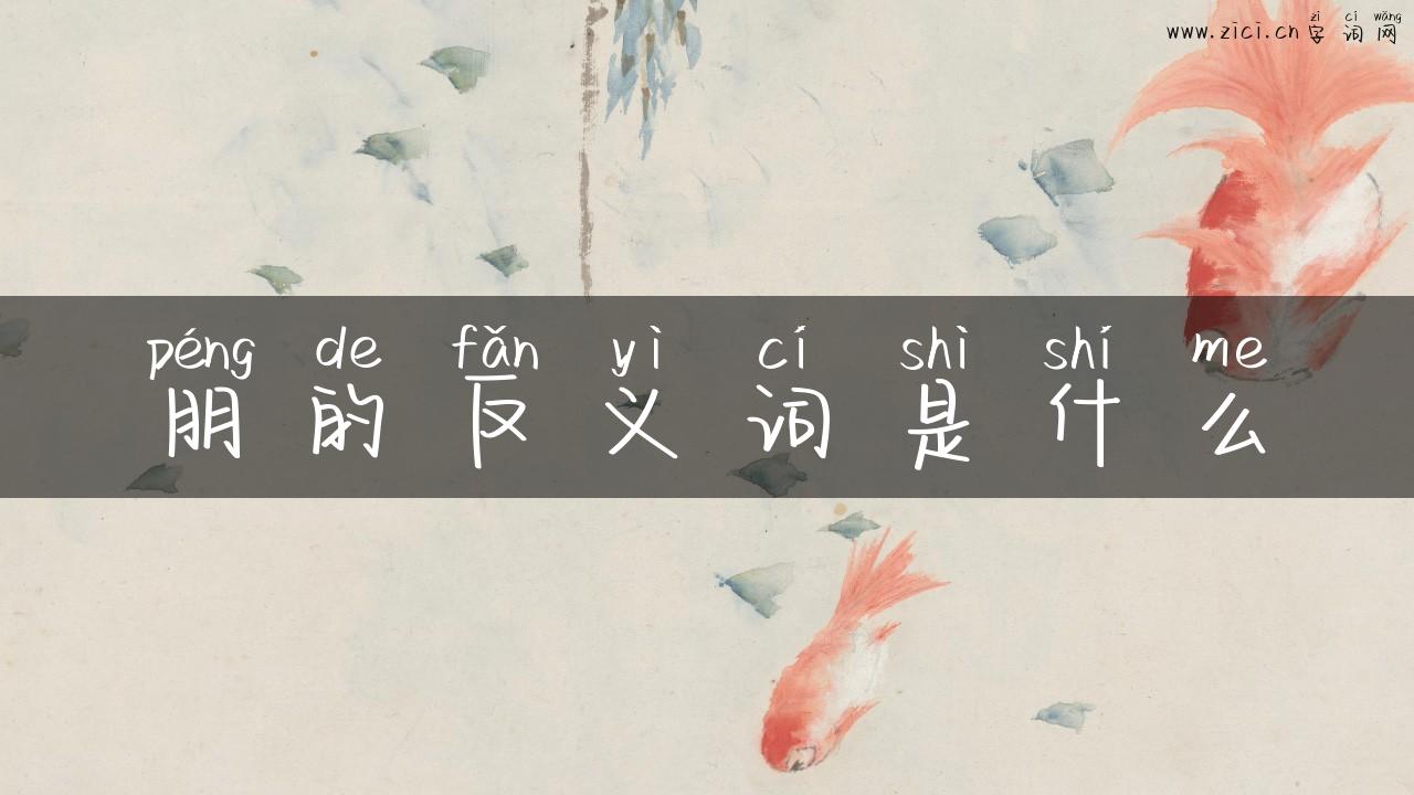 朋的反义词是什么