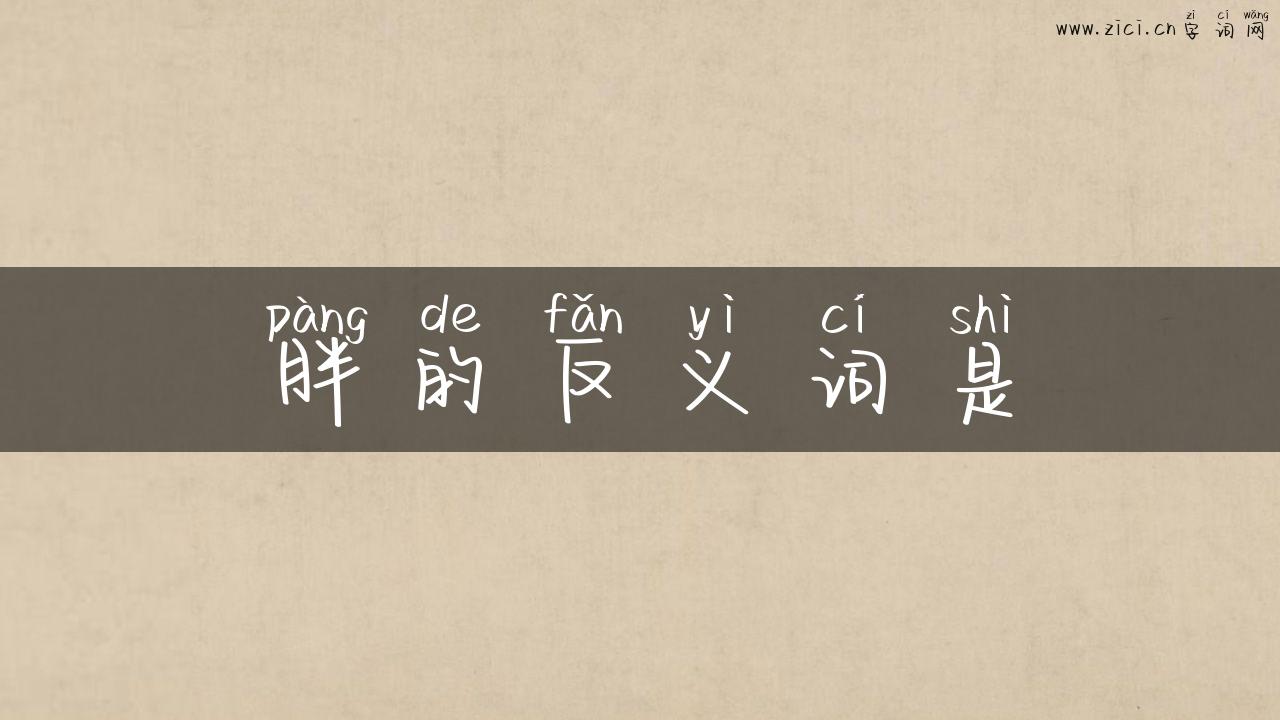 胖的反义词是