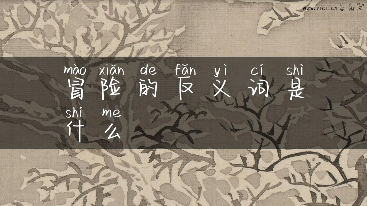 冒险的反义词是什么