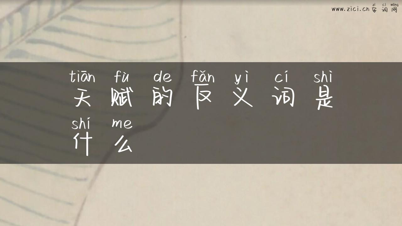 天赋的反义词是什么