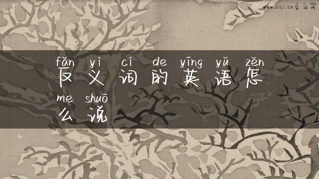 反义词的英语怎么说