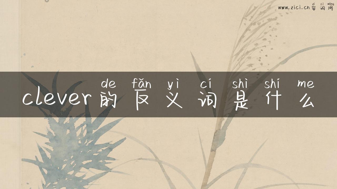 clever的反义词是什么