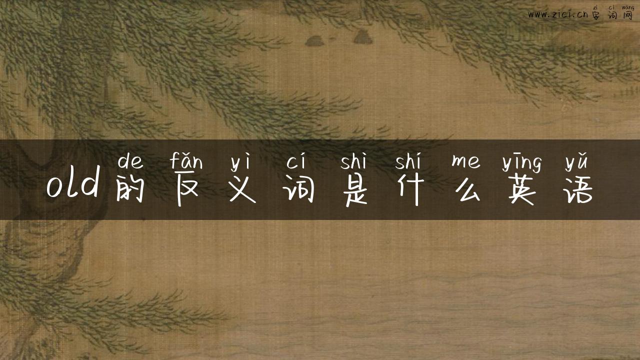 old的反义词是什么英语