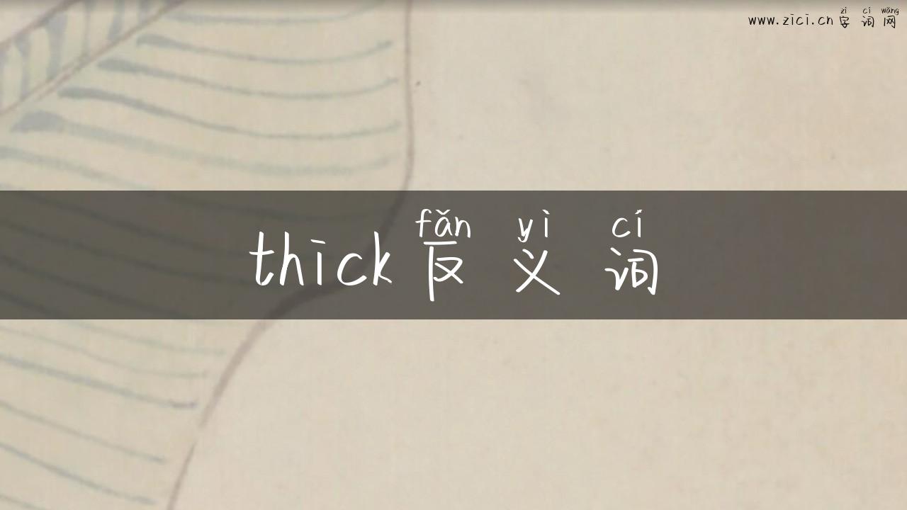 thick反义词