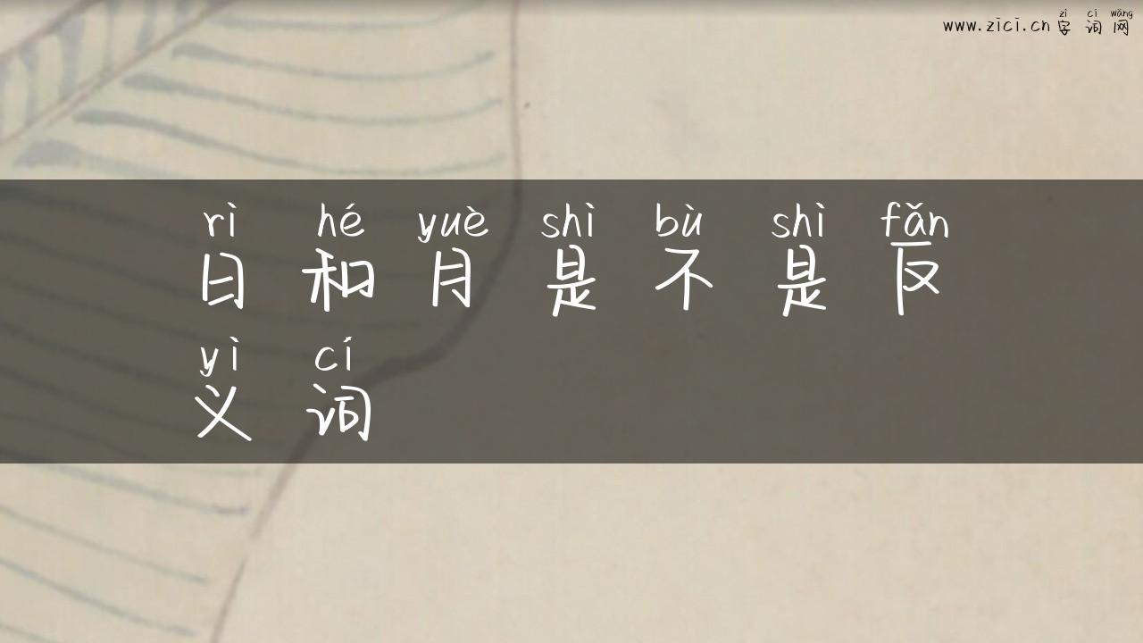 日和月是不是反义词