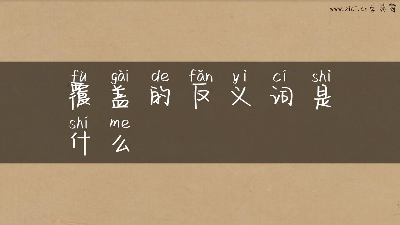 覆盖的反义词是什么