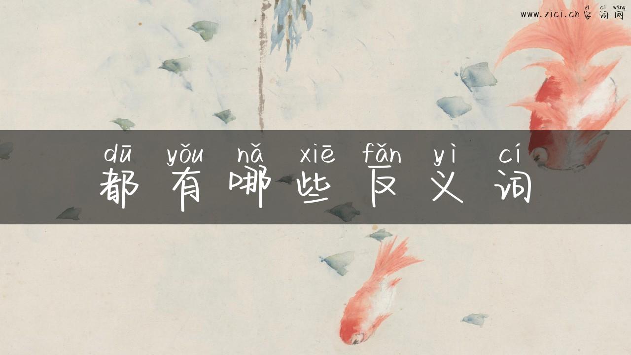 都有哪些反义词