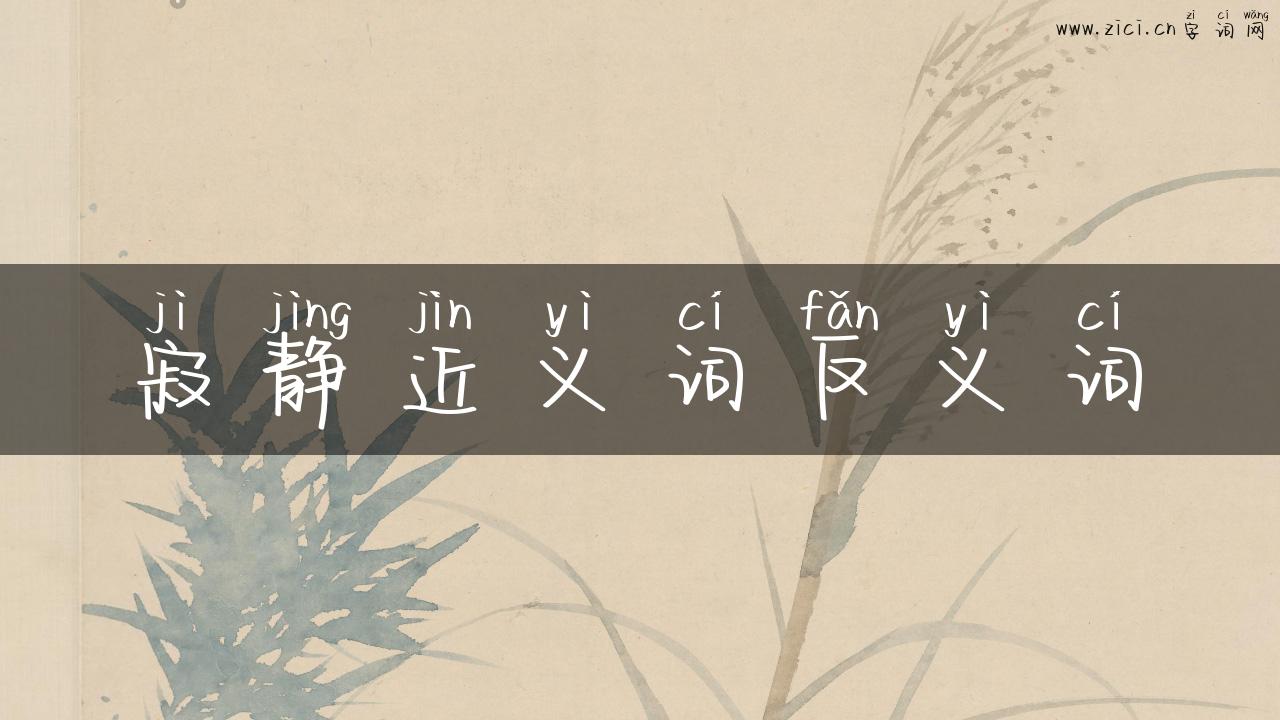 寂静近义词反义词