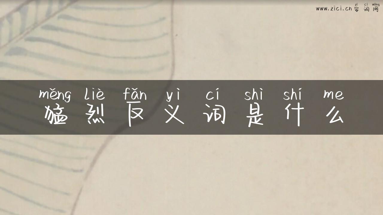 猛烈反义词是什么
