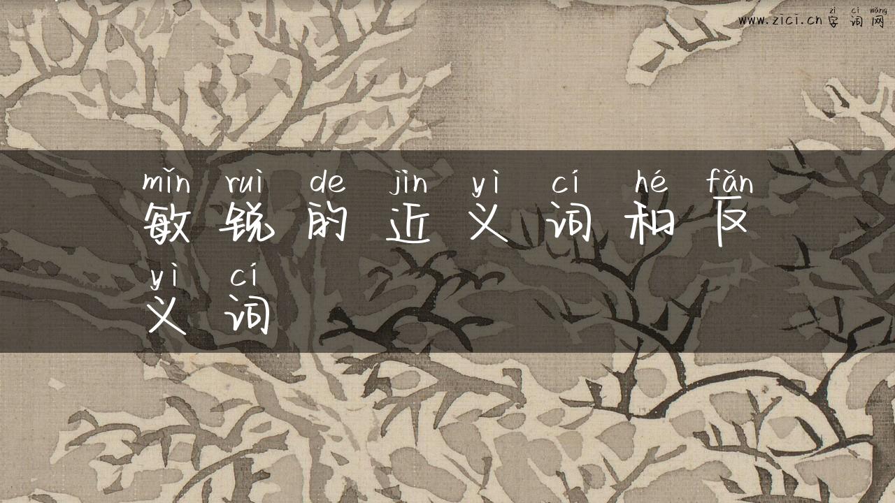 敏锐的近义词和反义词