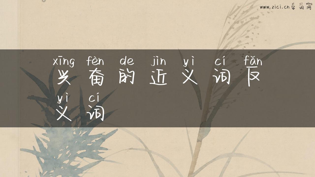 兴奋的近义词反义词