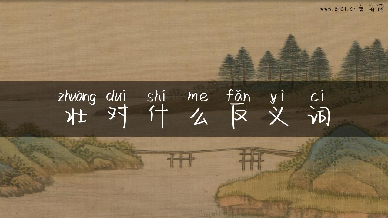 壮对什么反义词