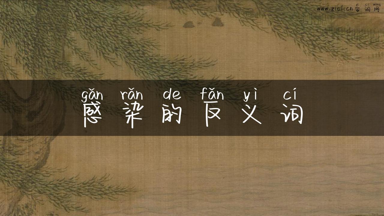 感染的反义词