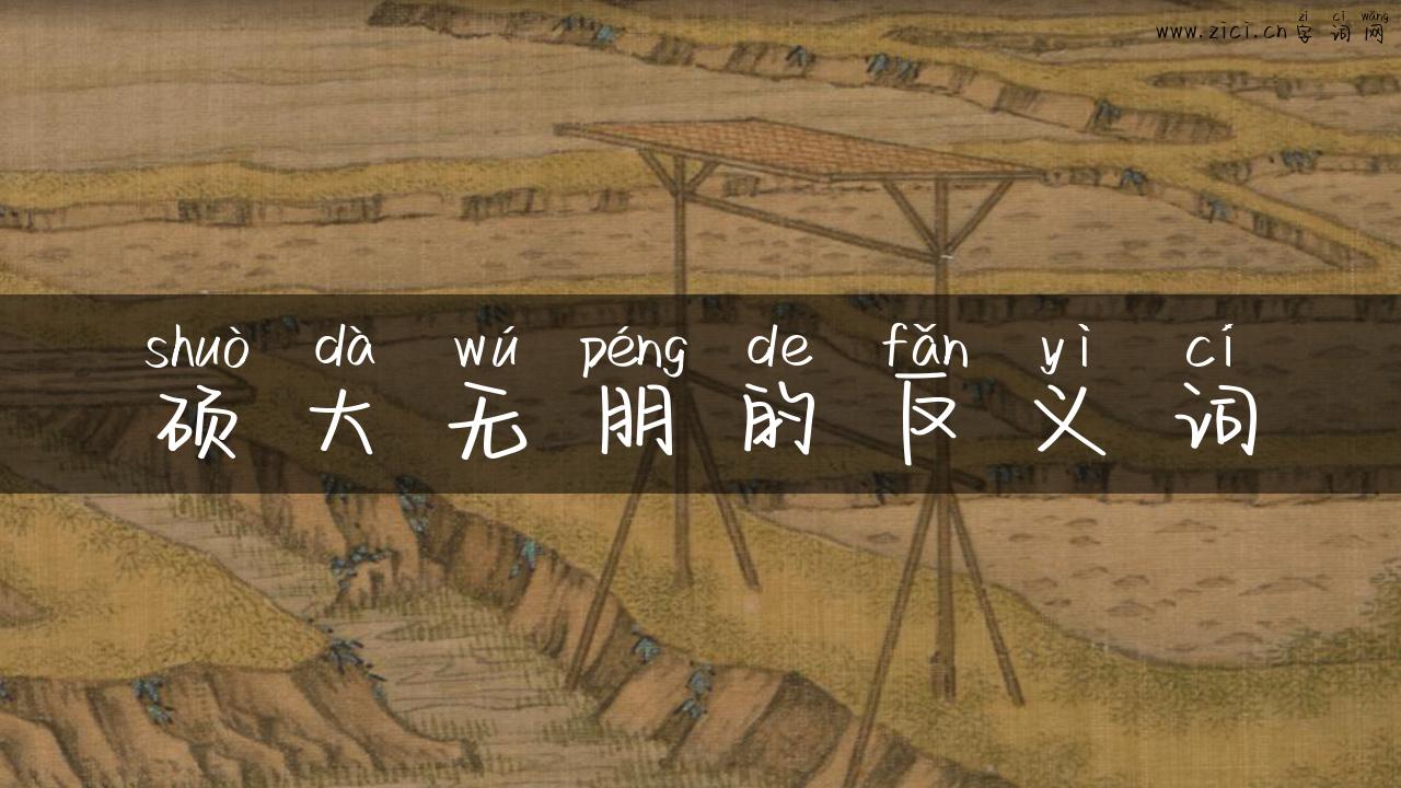 硕大无朋的反义词