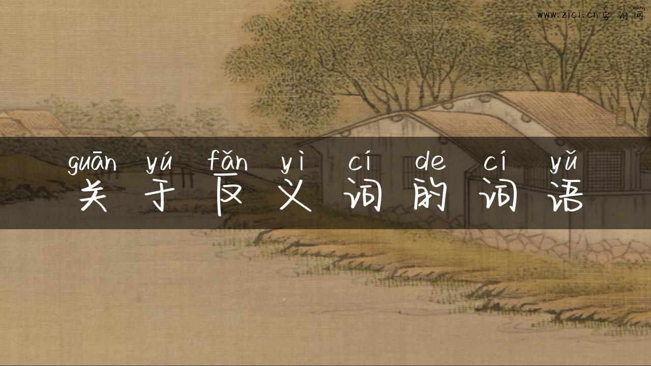 关于反义词的词语