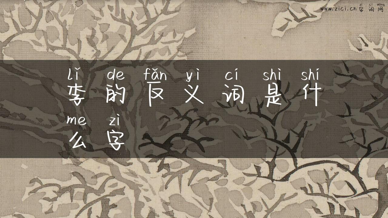 李的反义词是什么字