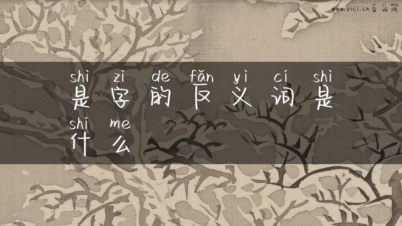 是字的反义词是什么