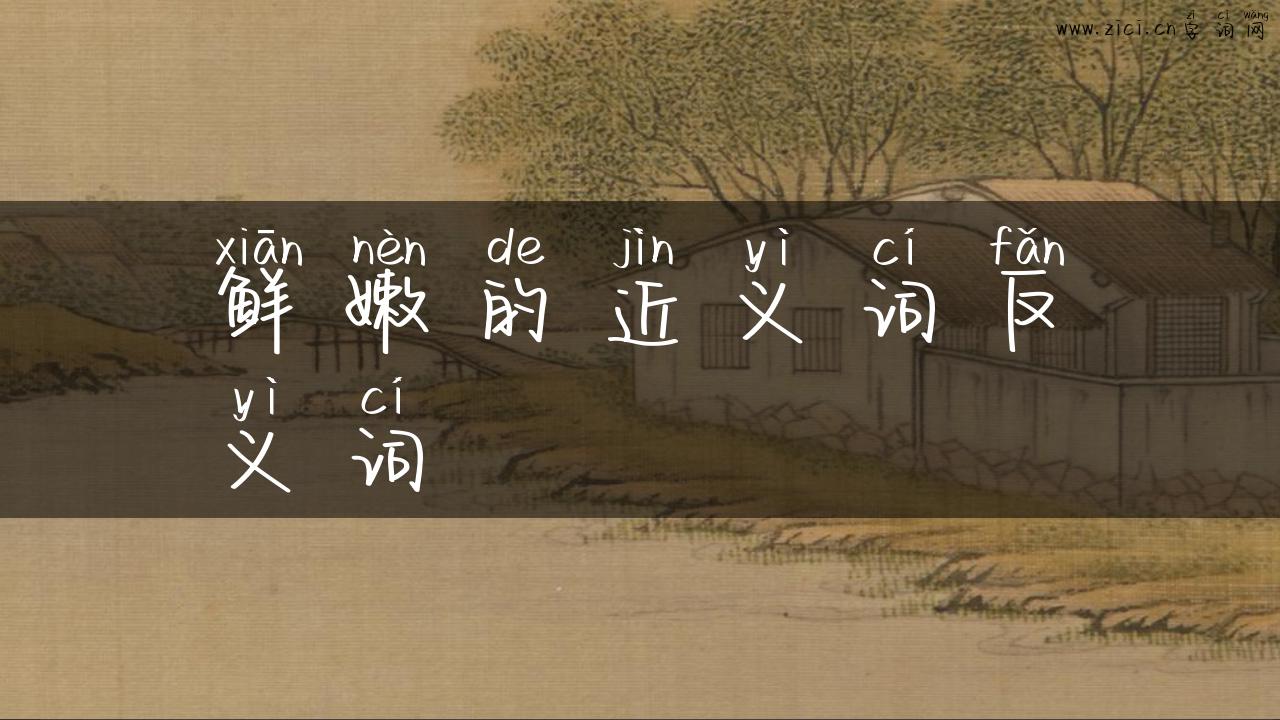 鲜嫩的近义词反义词