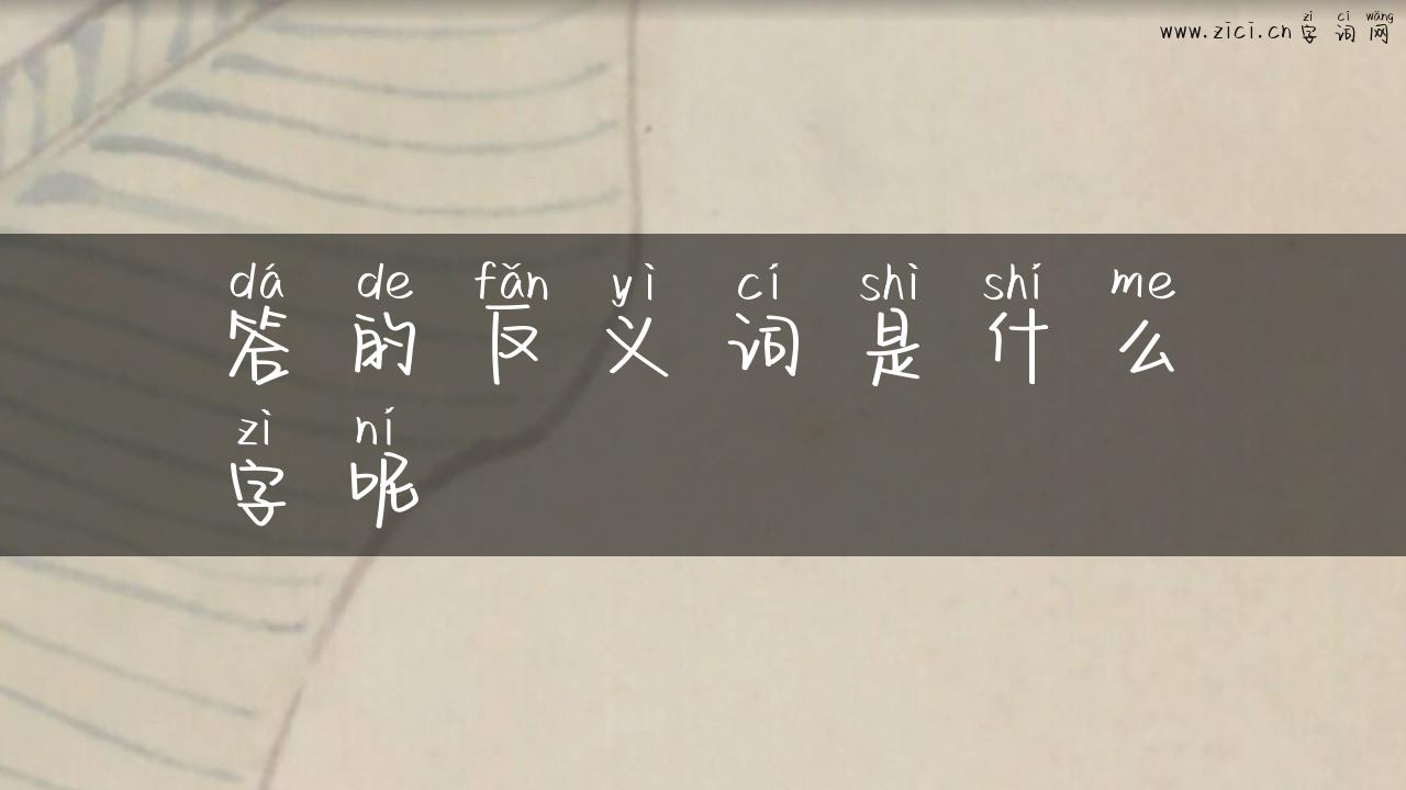 答的反义词是什么字呢