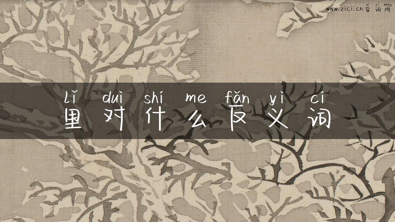 里对什么反义词