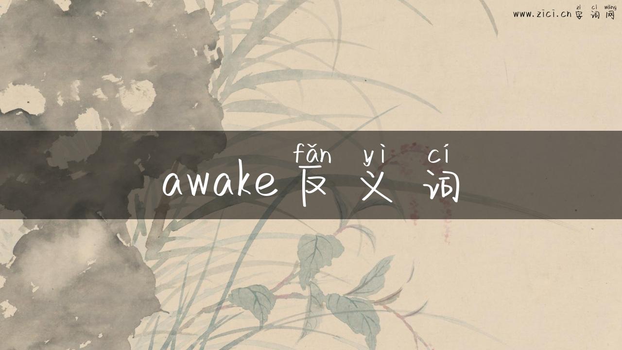 awake反义词
