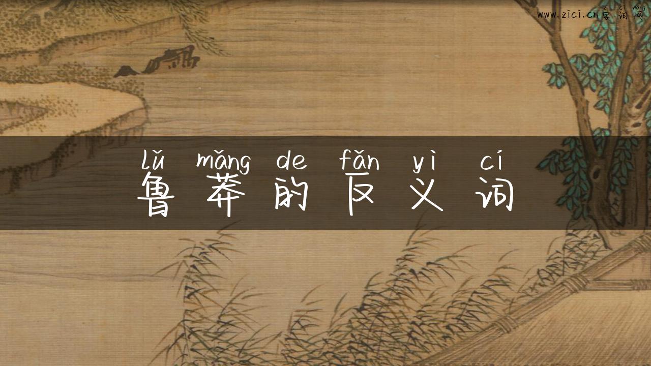 鲁莽的反义词